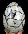 Septarian Dragon Egg Geode - Shiny Black Crystals #36049-2